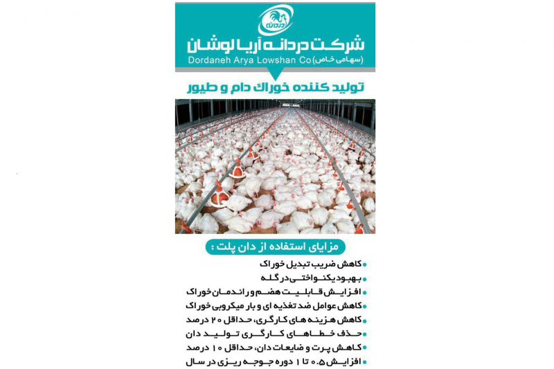 647932دردانه.png